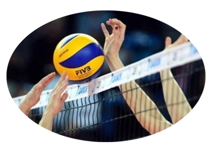 volleyballs, beach v