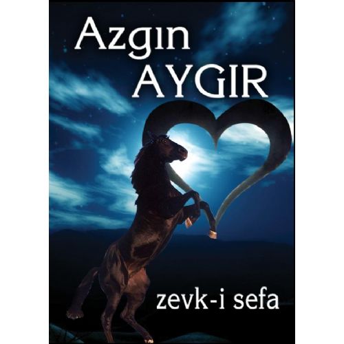 AZGIN AYGIR