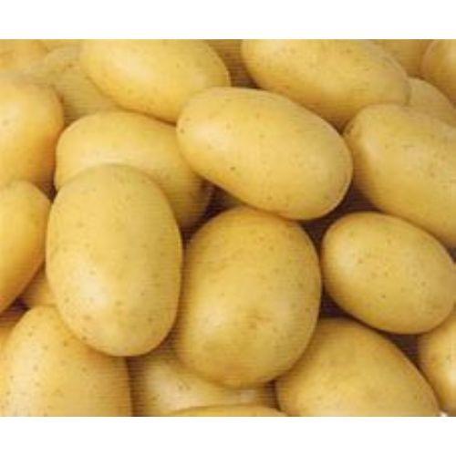 Patates (potato-
