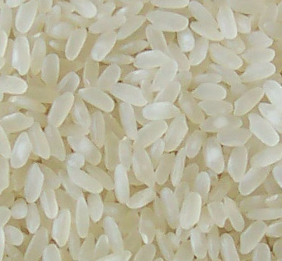 Baldo Pirinç