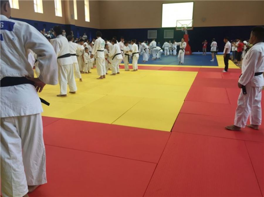 Judo Gym Mats