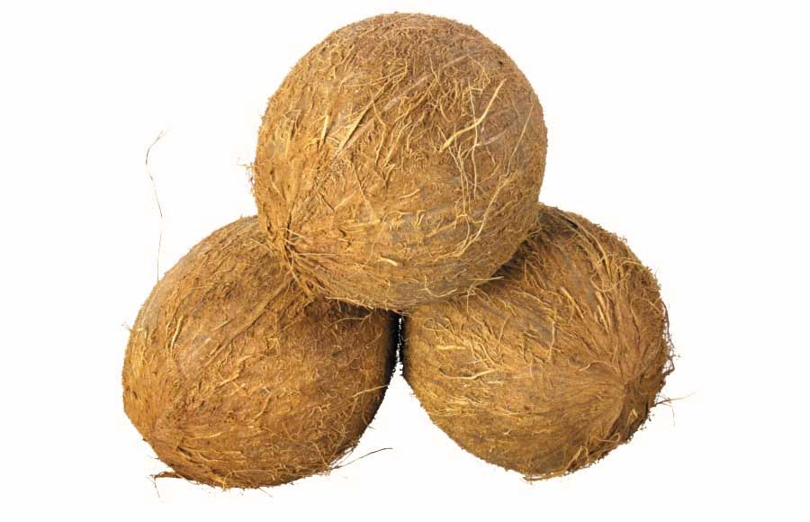 Fully Husked coconut
