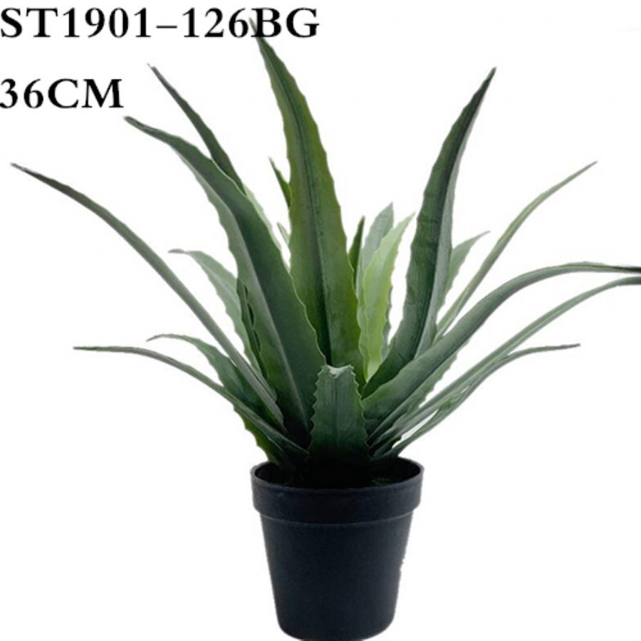 Artificial Aloe Succ