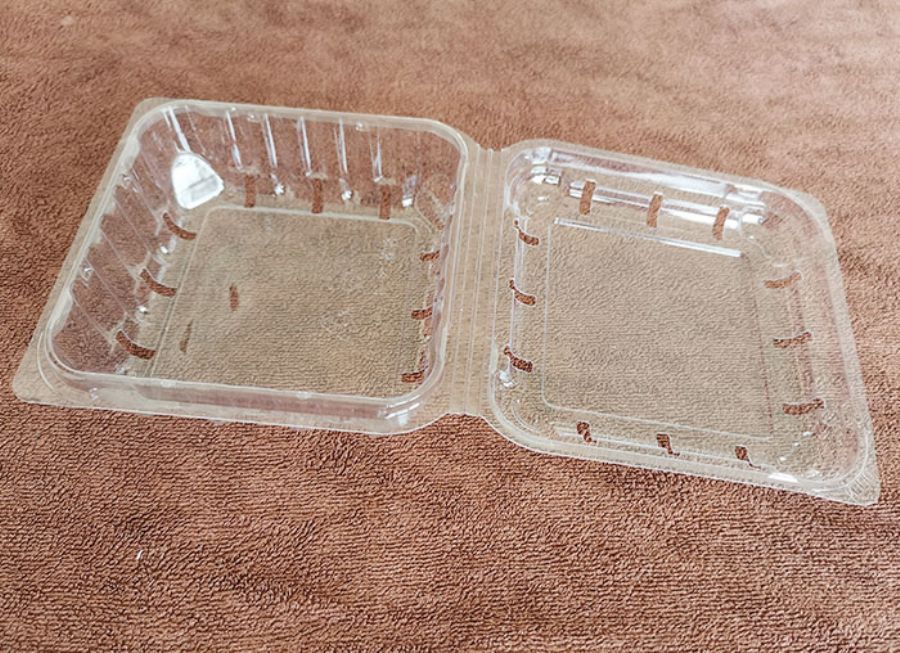 Disposable PET transparent food box