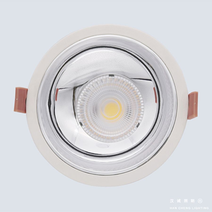 Painted downlight