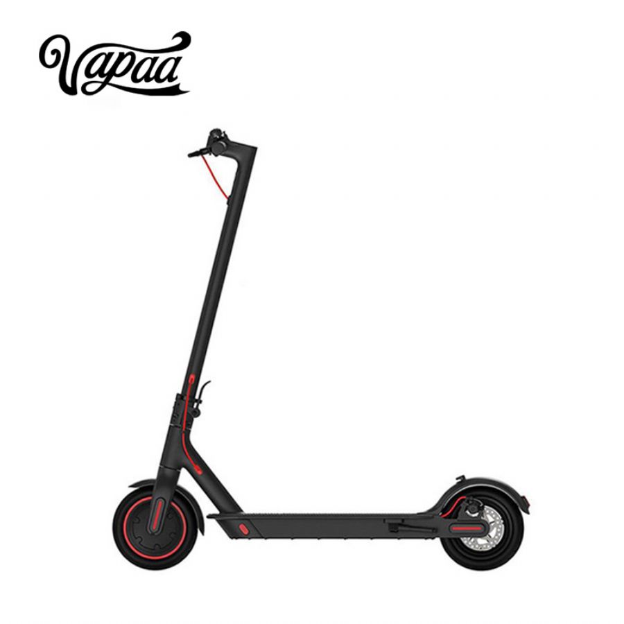 Adult Electric Scoot