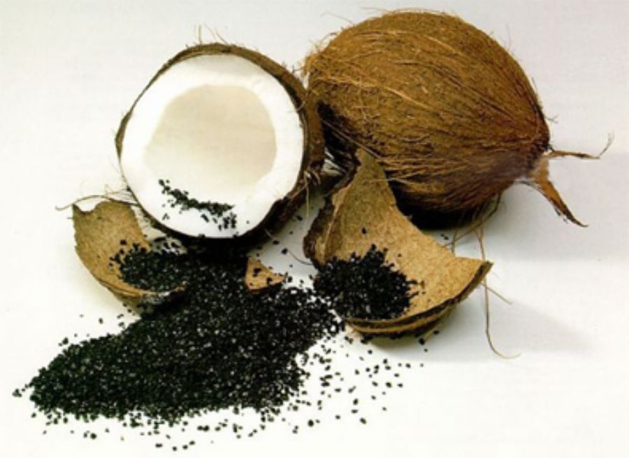 Coconut Shell based 