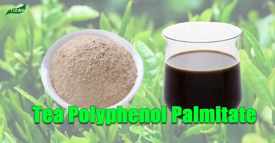 Tea Polyphenol Palmi