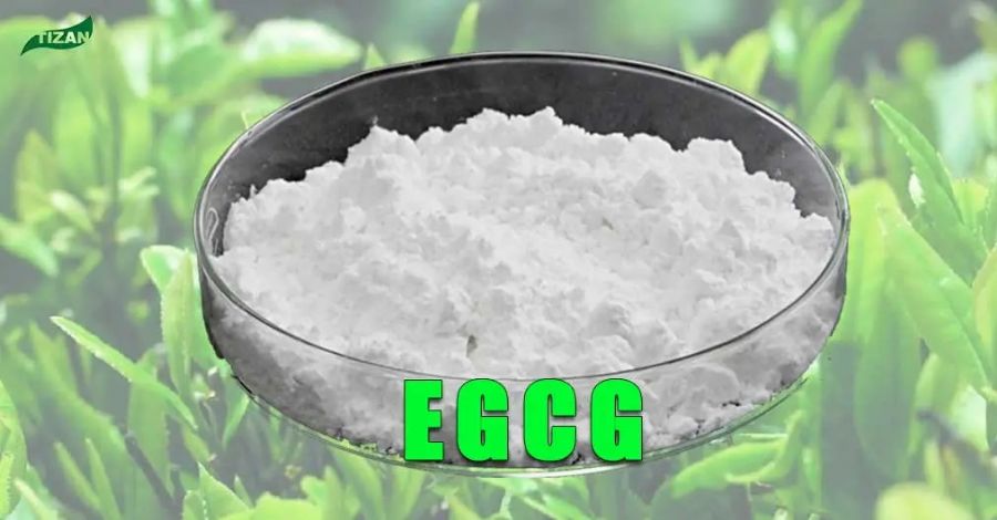 EGCG Powder Green Te