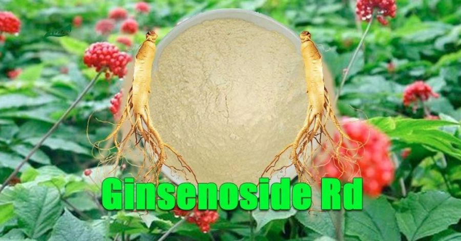 Asian Ginseng Extract Ginsenoside Rd Powder