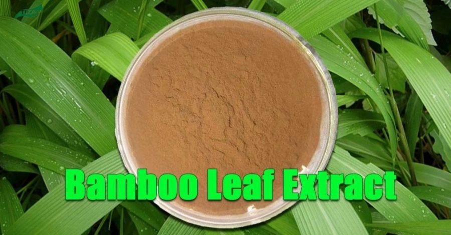 Bamboo Extract Powder Flavones Bamboo Leaf Extract