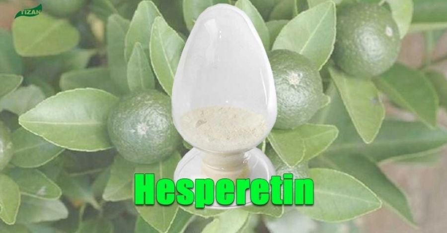 Natural Sweetener Hesperetin Powder Citrus Aurantium Extract