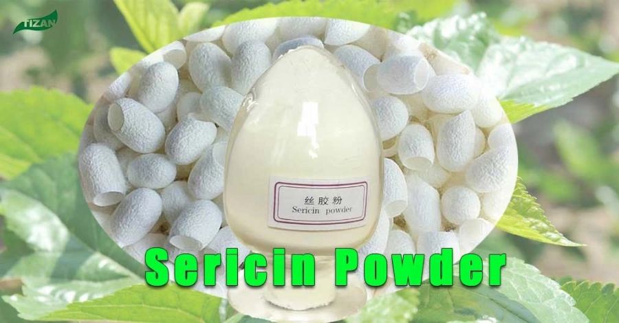 Sericin Silk Powder