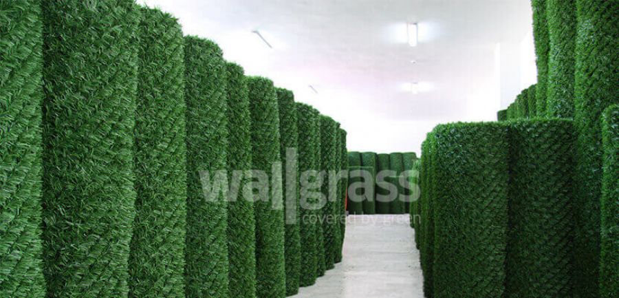 Wallgrass Roll Grass
