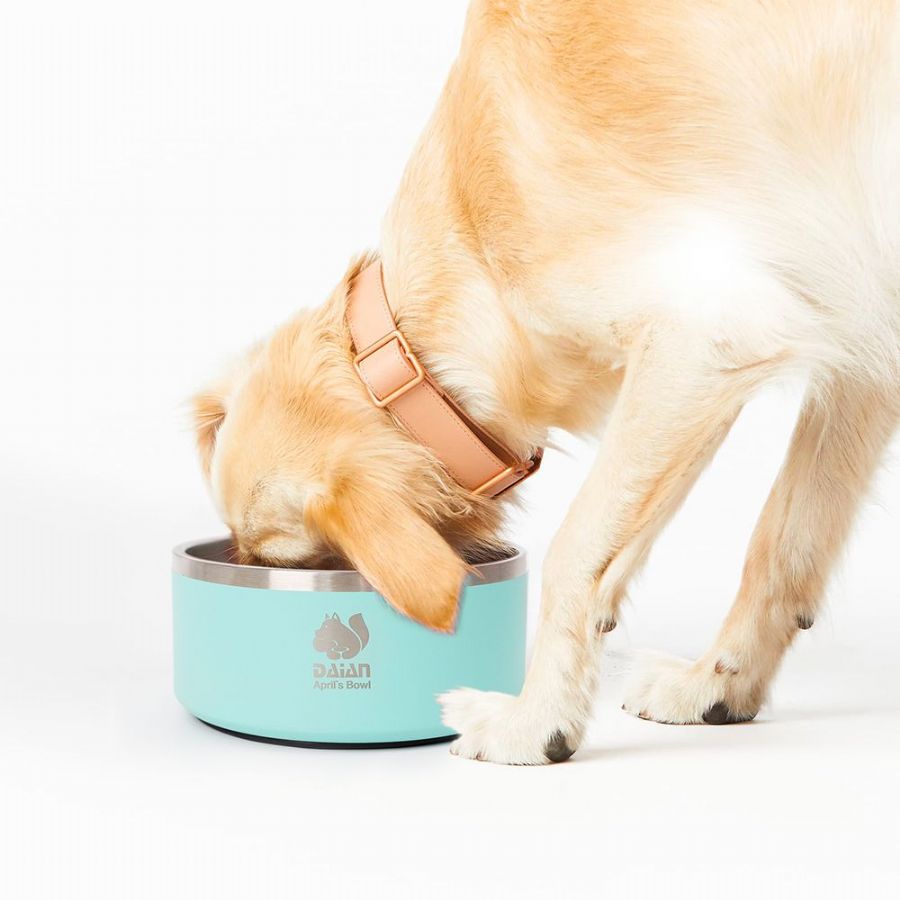Puppy Food Bowl Stai